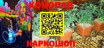 прущие крисы Апшеронск