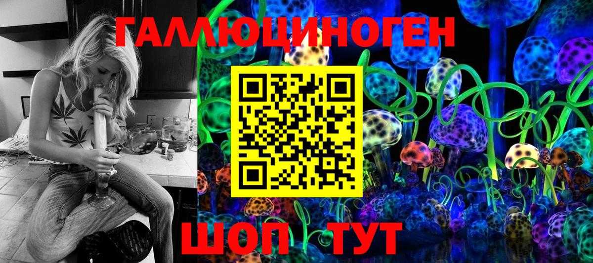 Псилоцибиновые грибы Cubensis Бор
