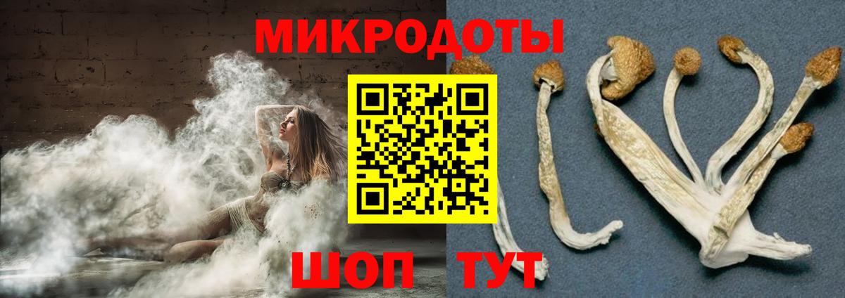 Псилоцибиновые грибы ЛСД  Вход с VPN  Бор  Галлюциногенные грибы прущие грибы 